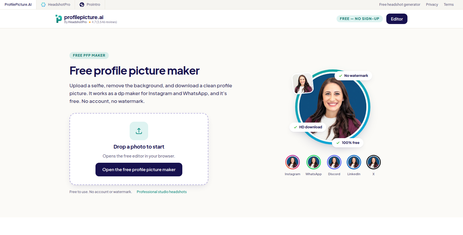 ProfilePicture.AI Screenshot - Interface Voorbeeld