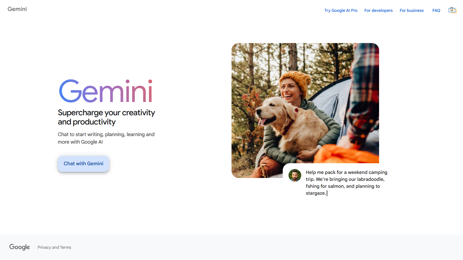 Captura de pantalla de Gemini - Vista previa de la interfaz