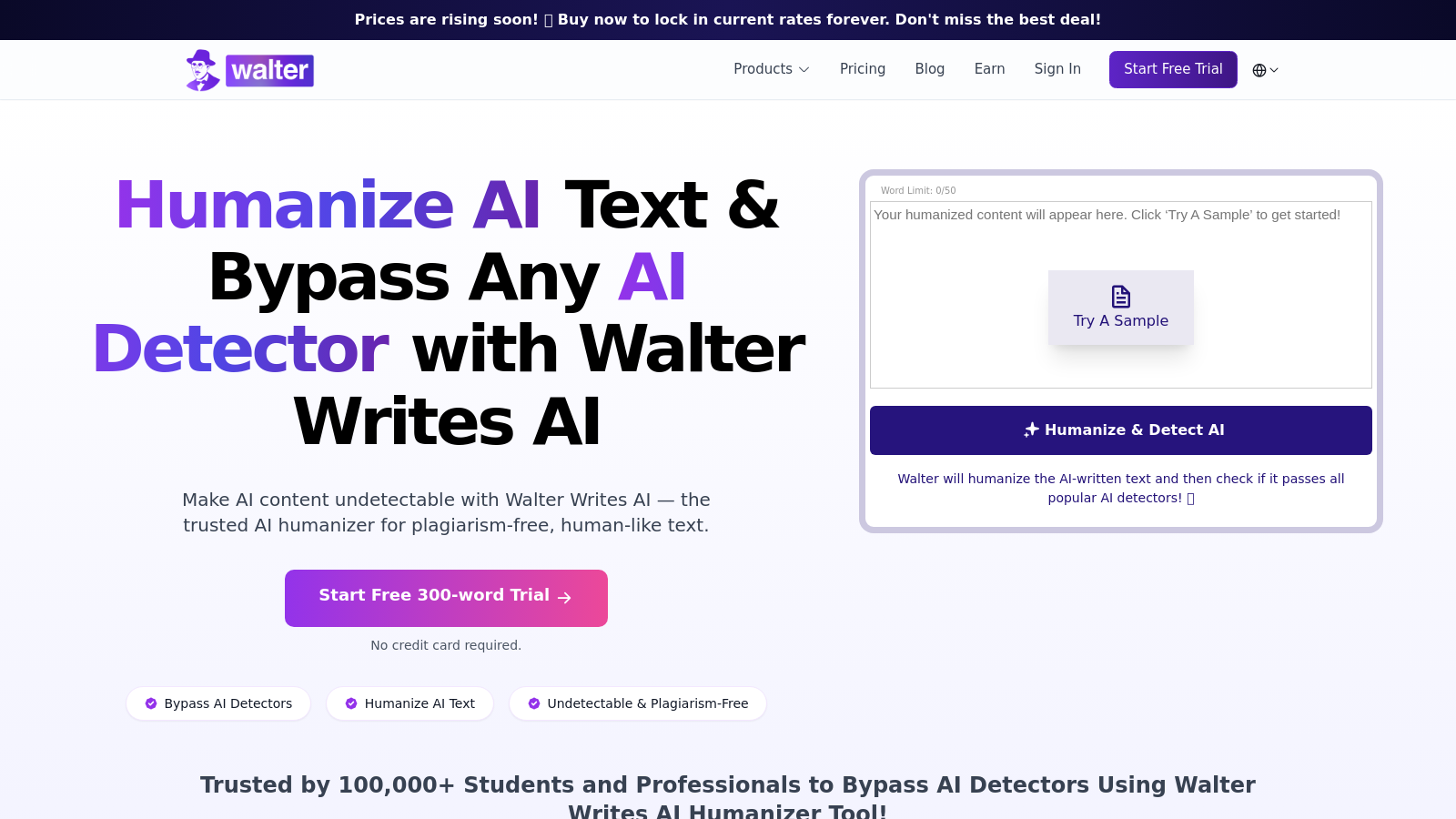 Walter Writes AI Снимка - Преглед на интерфейса