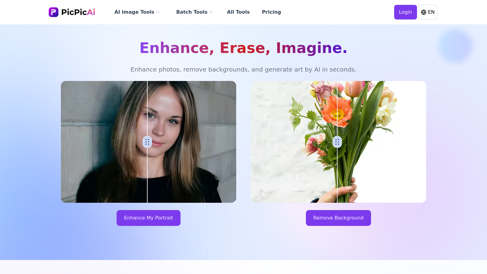 Capture d'écran de PicPicAI - Aperçu de l'interface