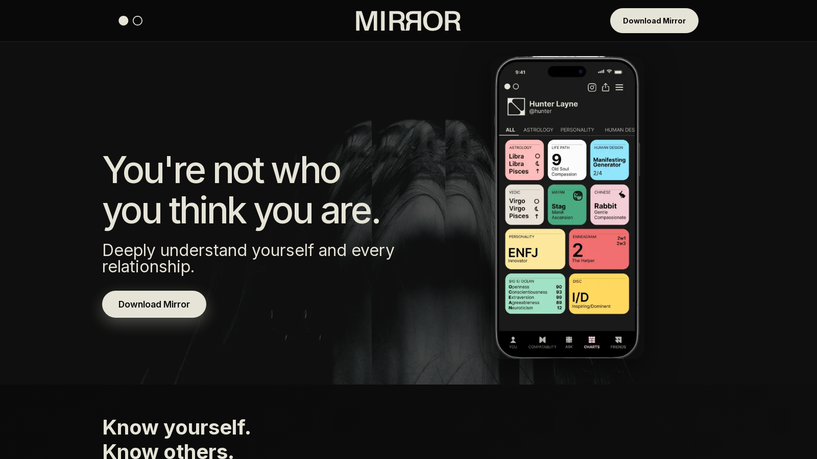Mirror Screenshot - Interface Preview