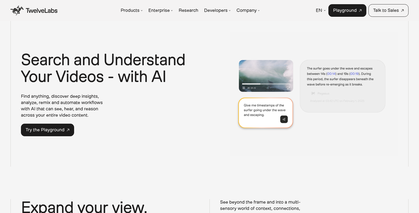TwelveLabs Screenshot - Anteprima dell'interfaccia