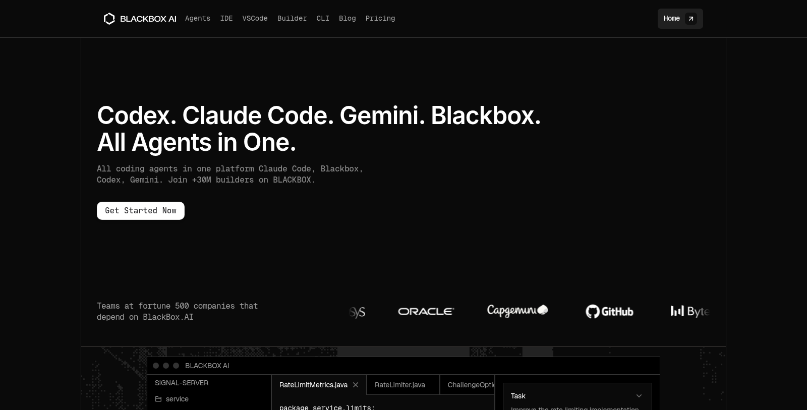 Blackbox Screenshot - Interface Voorbeeld
